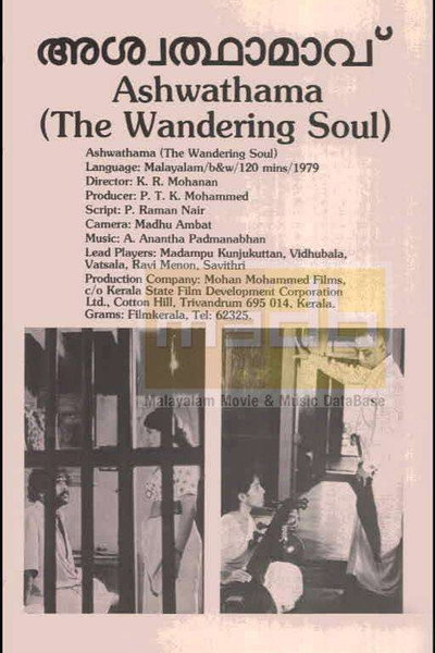 Póster de Wandering Soul