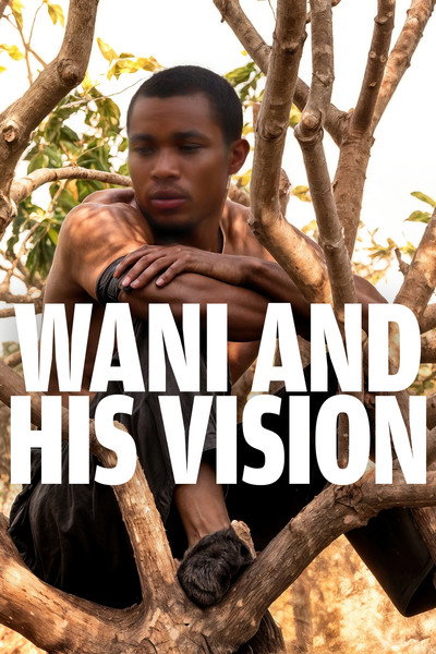 Póster de Wani and His Vision