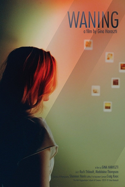 Póster de Waning
