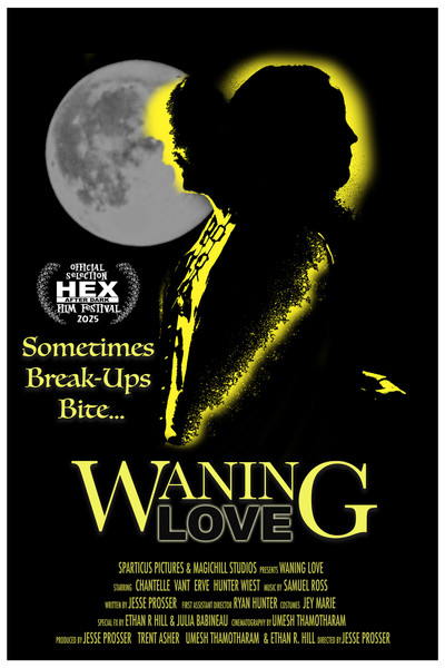 Póster de Waning Love