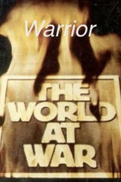 Póster de Warrior