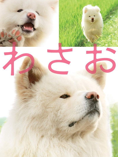 Póster de Wasao