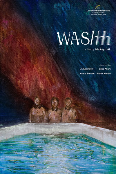 Póster de Washhh