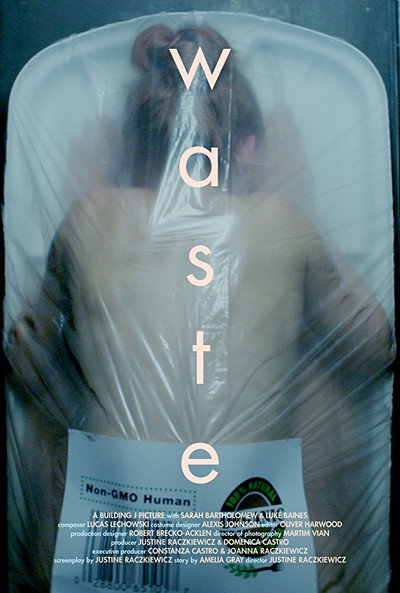 Póster de Waste