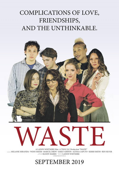 Póster de Waste