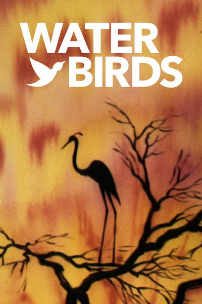 Póster de Water Birds
