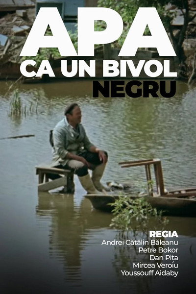 Póster de Water Like a Black Buffalo