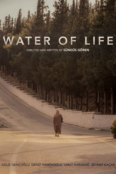 Póster de Water of Life