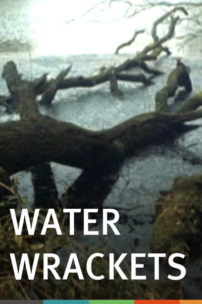 Póster de Water Wrackets