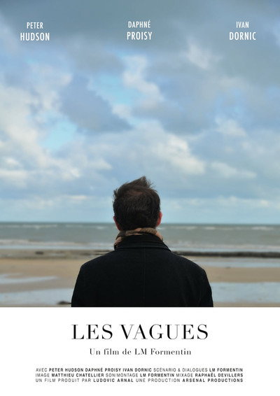 Póster de Waves