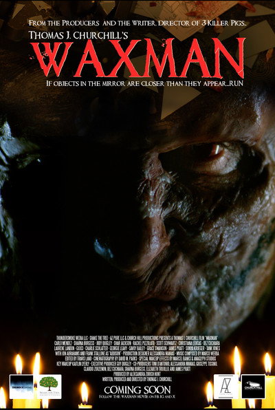 Póster de Waxman