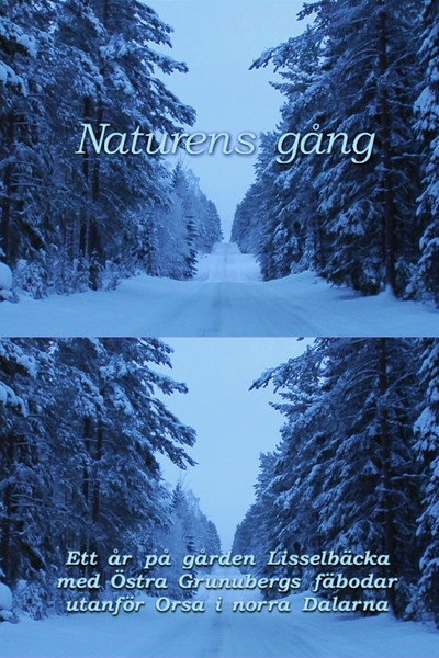 Póster de Way of Nature