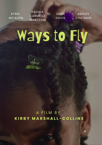 Póster de Ways to Fly