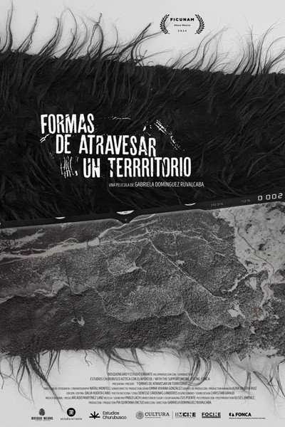 Póster de Ways to Traverse a Territory