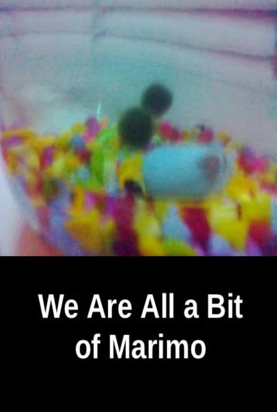 Póster de We Are All a Bit of Marimo