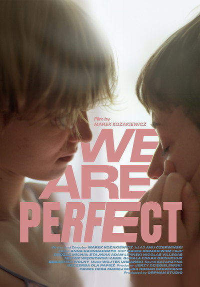 Póster de We Are Perfect