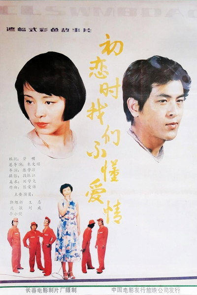 Póster de We Didn't Know Love During First Love