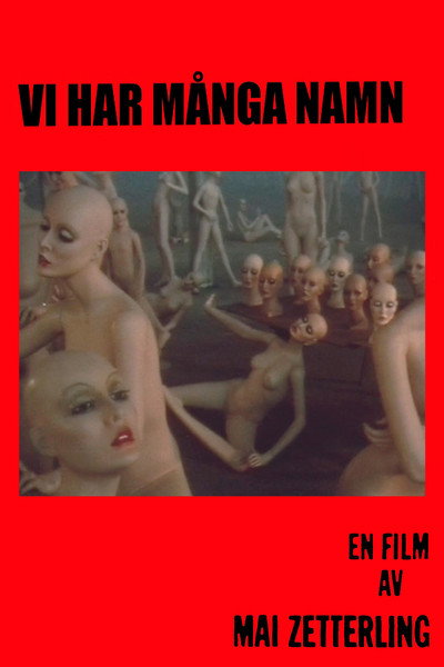 Póster de We Have Many Names