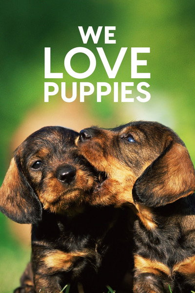 Póster de We Love Puppies