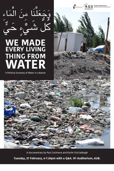 Póster de We Made Everything from Water.
