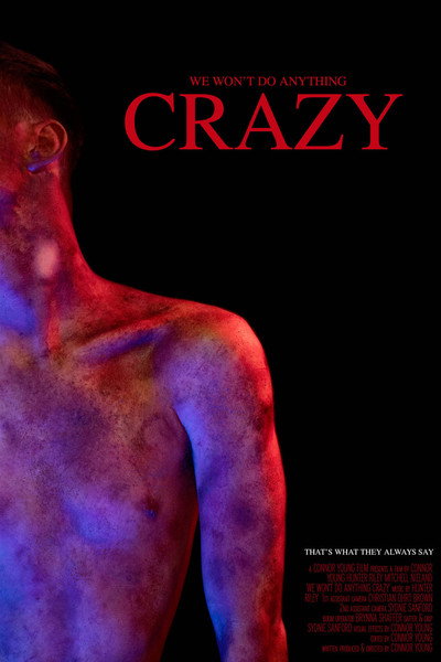 Póster de We Won't Do Anything Crazy