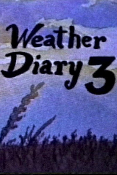 Póster de Weather Diary 3