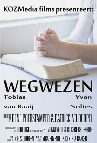 Póster de Wegwezen