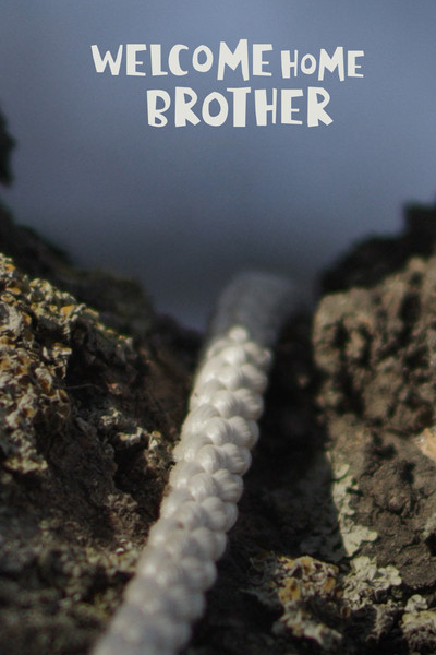 Póster de Welcome home brother