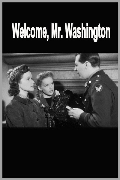 Póster de Welcome Mr Washington