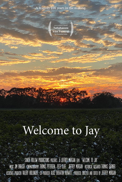 Póster de Welcome to Jay