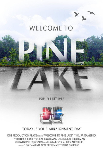 Póster de Welcome to Pine Lake