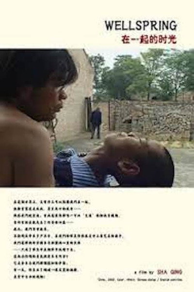 Póster de Wellspring