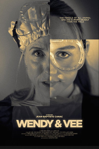 Póster de Wendy & Vee