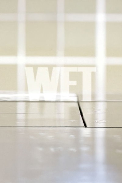 Póster de Wet