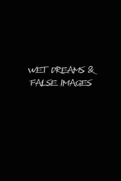 Póster de Wet Dreams and False Images