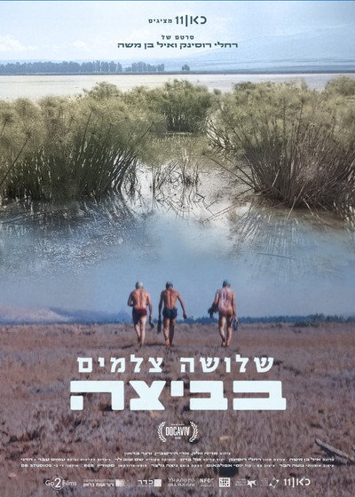 Póster de Wetland