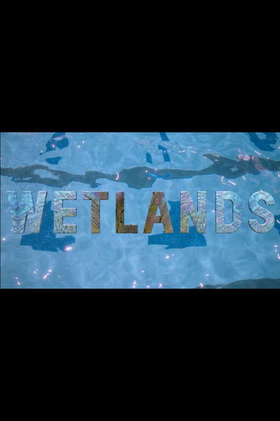 Póster de Wetlands