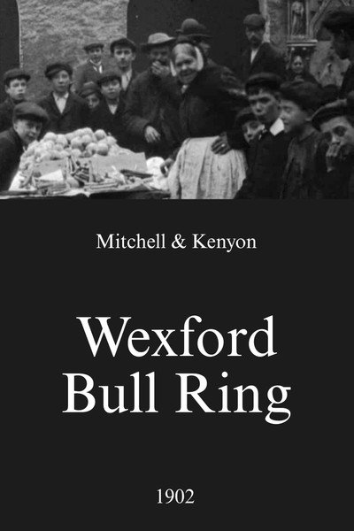 Póster de Wexford Bull Ring