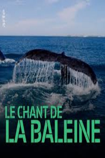 Póster de Whale Patrol