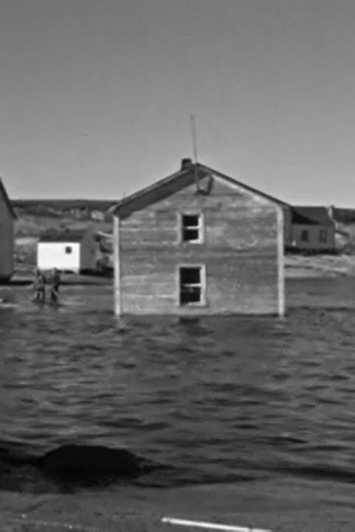 Póster de Whalehead