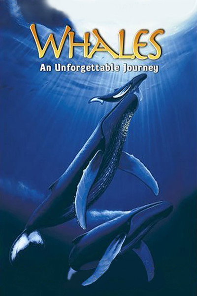 Póster de Whales: An Unforgettable Journey