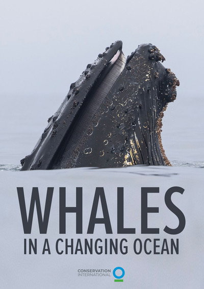 Póster de Whales in a Changing Ocean