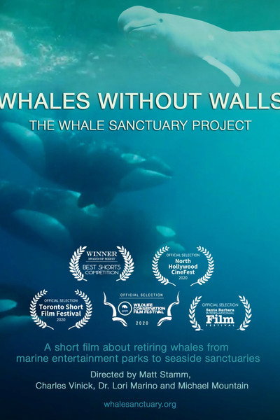 Póster de Whales Without Walls