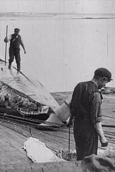 Póster de Whaling Afloat and Ashore