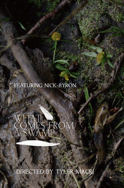 Póster de What Comes from a Swamp