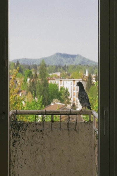 Póster de What Day Is It?