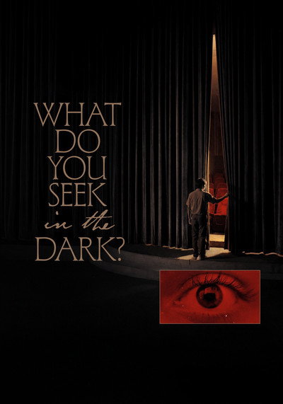 Póster de What Do You Seek in The Dark?