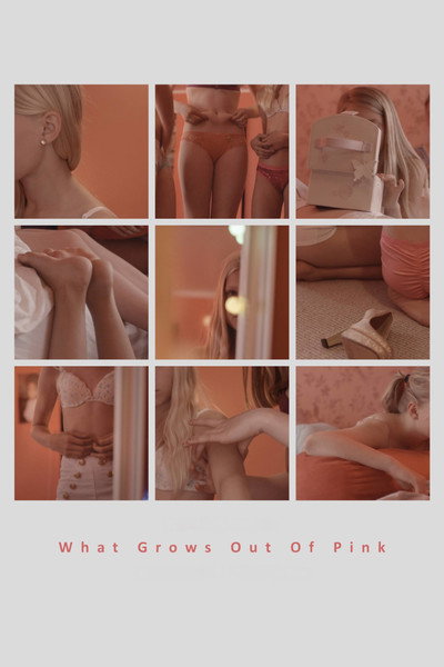 Póster de What Grows Out of Pink