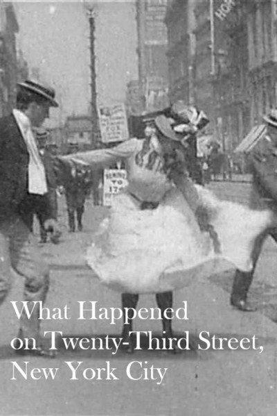 Póster de What Happened on Twenty-third Street, New York City