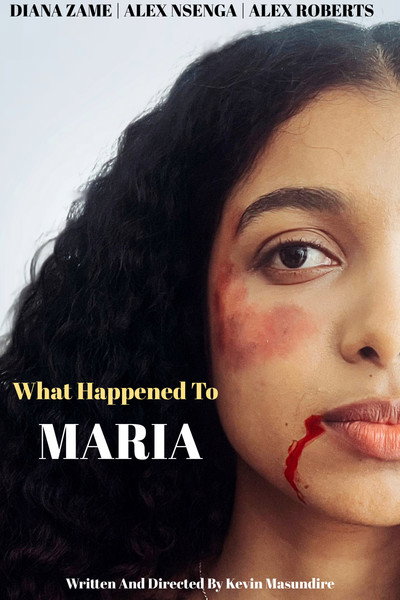 Póster de What Happened to Maria